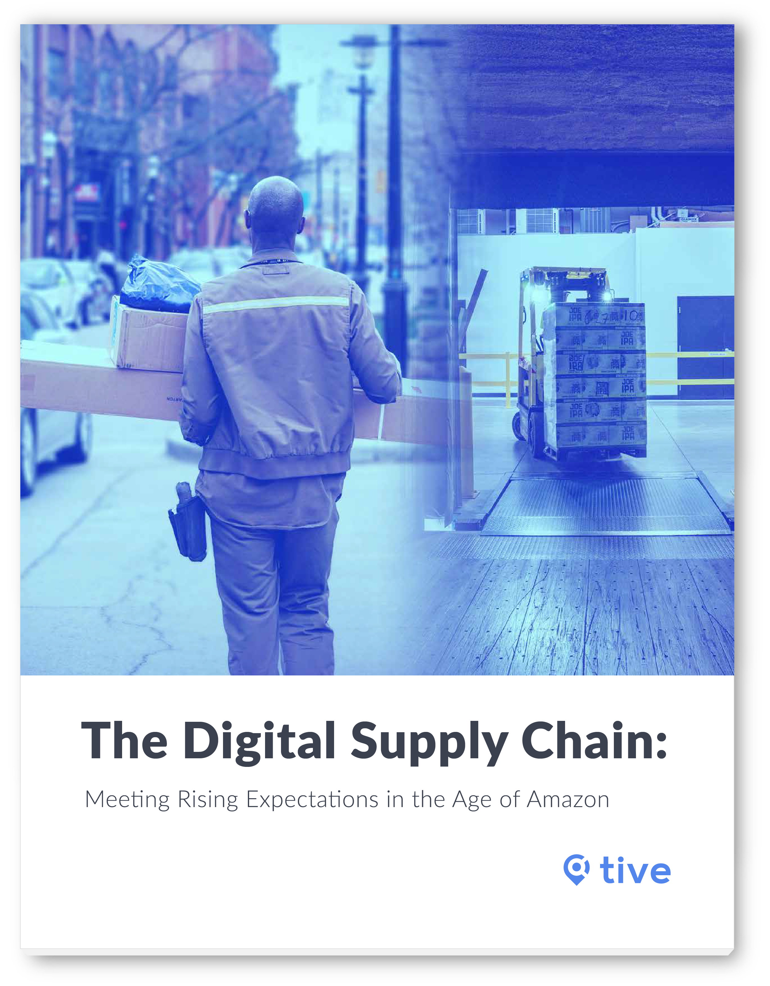 The Digital Supply Chain Meeting Rising Expectations in the Age of Amazon